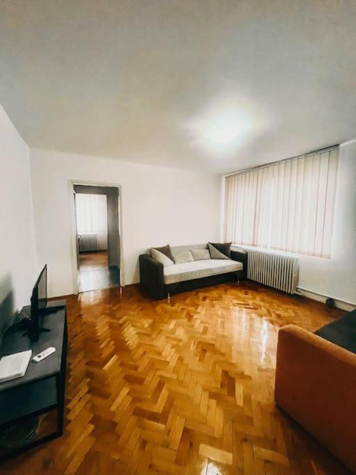 Ultracentral Big Flat Near The Opera Square P17 Timişoara Eksteriør billede