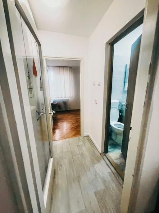 Ultracentral Big Flat Near The Opera Square P17 Timişoara Eksteriør billede