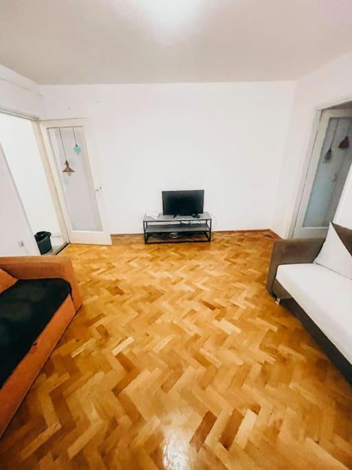 Ultracentral Big Flat Near The Opera Square P17 Timişoara Eksteriør billede
