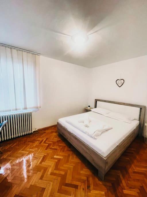Ultracentral Big Flat Near The Opera Square P17 Timişoara Eksteriør billede
