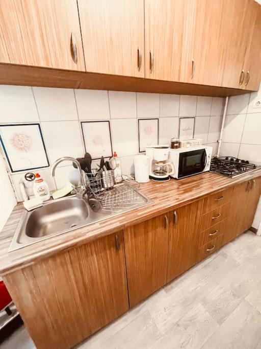 Ultracentral Big Flat Near The Opera Square P17 Timişoara Eksteriør billede