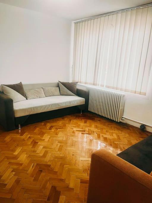 Ultracentral Big Flat Near The Opera Square P17 Timişoara Eksteriør billede